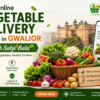 Why Gwalior Families Prefer Fresh Sabji Bala for Daily Grocery Needs